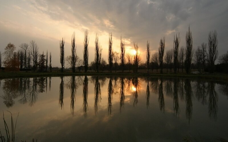 Trees Reflected in Pond — Orange, Serene, Sunset