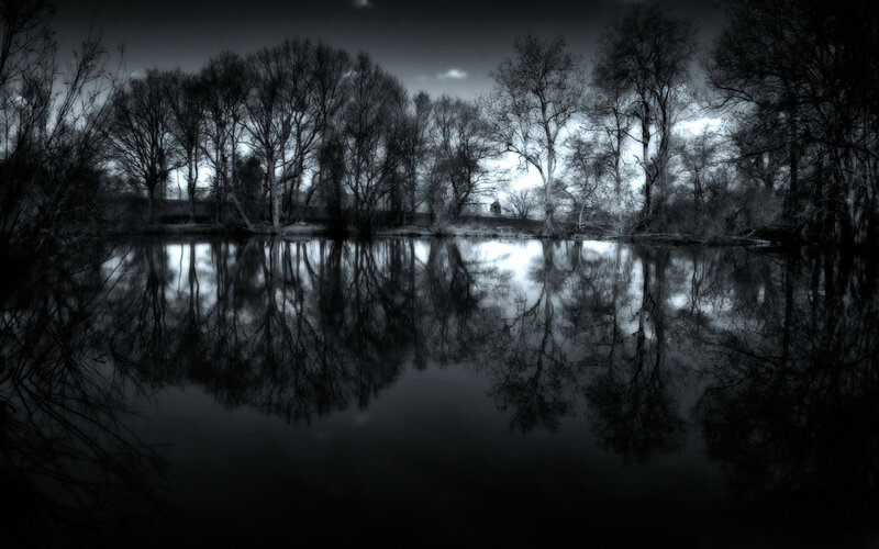 Trees Reflected in Water — Black, Dark