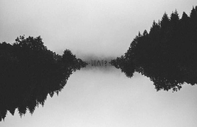 Trees Reflected in Water — Black, Mysterious