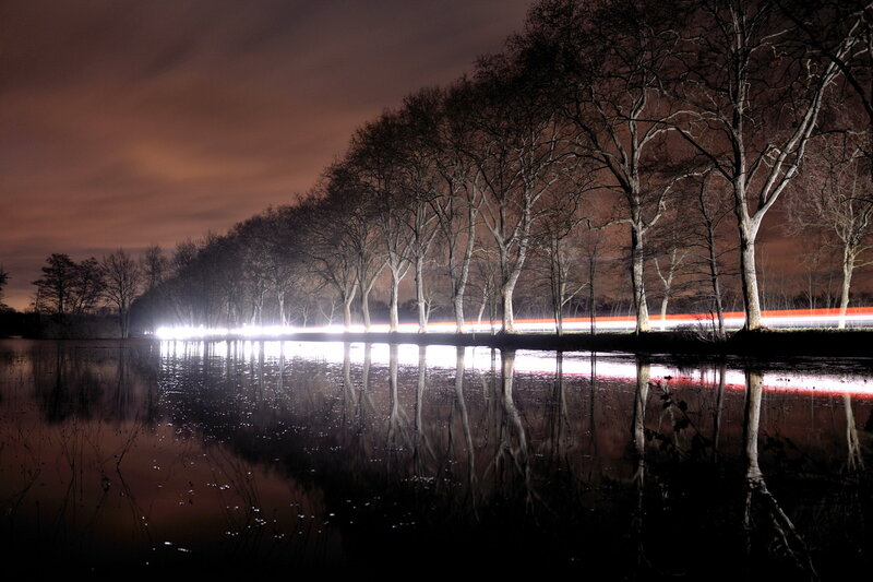 Trees Reflected in Water — Black, Serene, Night