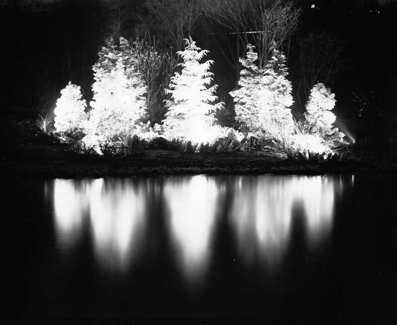 Trees Reflected in Water — Black