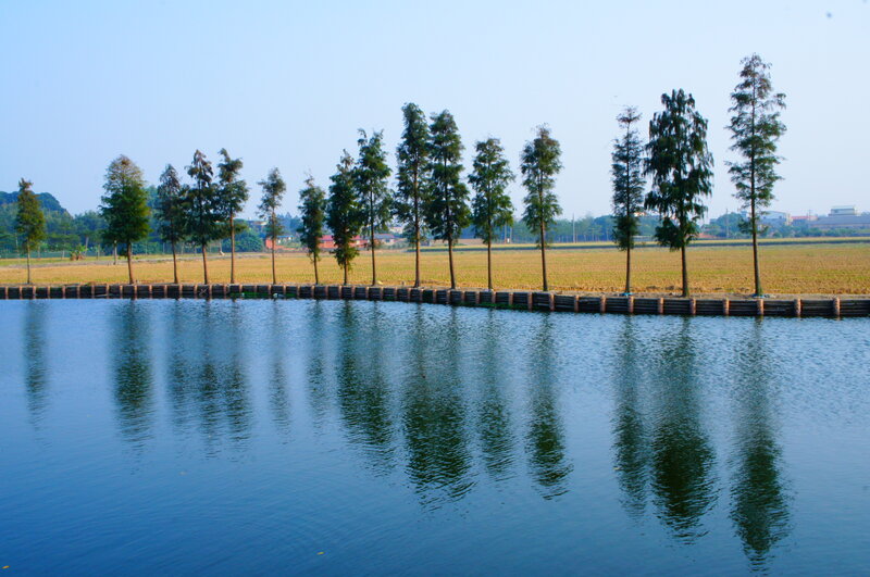 Trees Reflected in Water — Blue, Serene, Afternoon
