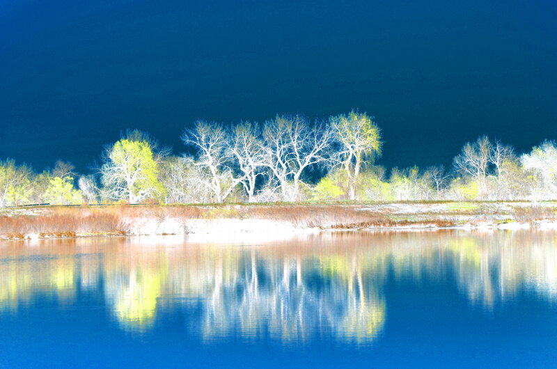 Trees Reflected in Water — Blue, Serene, Night, Photograph
