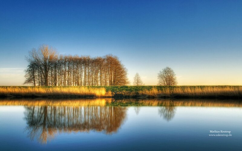 Trees Reflected in Water — Blue, Serene, Sunset, Photograph, River, Sky