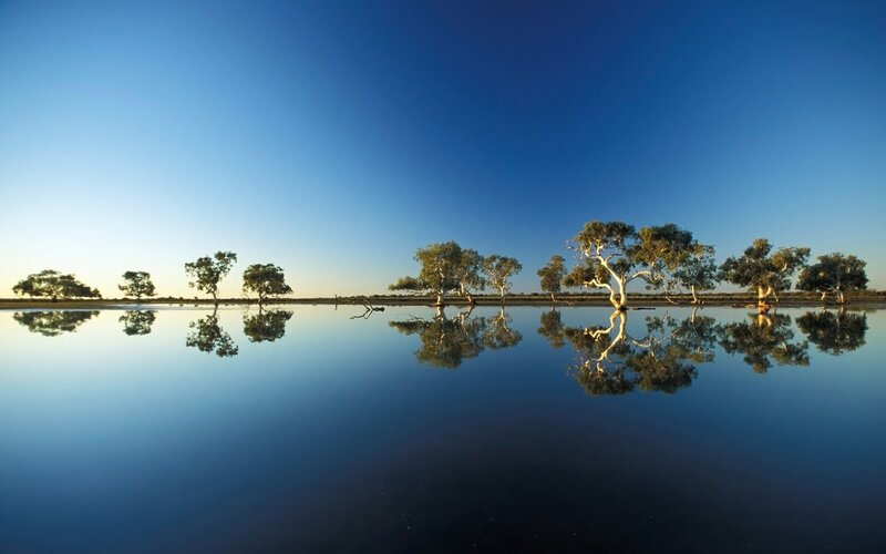 Trees Reflected in Water — Blue, Serene, Sunset, Photograph, Sky