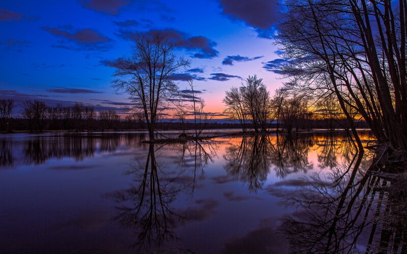 Trees Reflected in Water — Blue, Serene, Sunset, Photograph