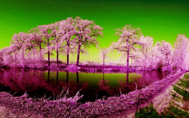 Trees Reflected in Water — Green, Dramatic