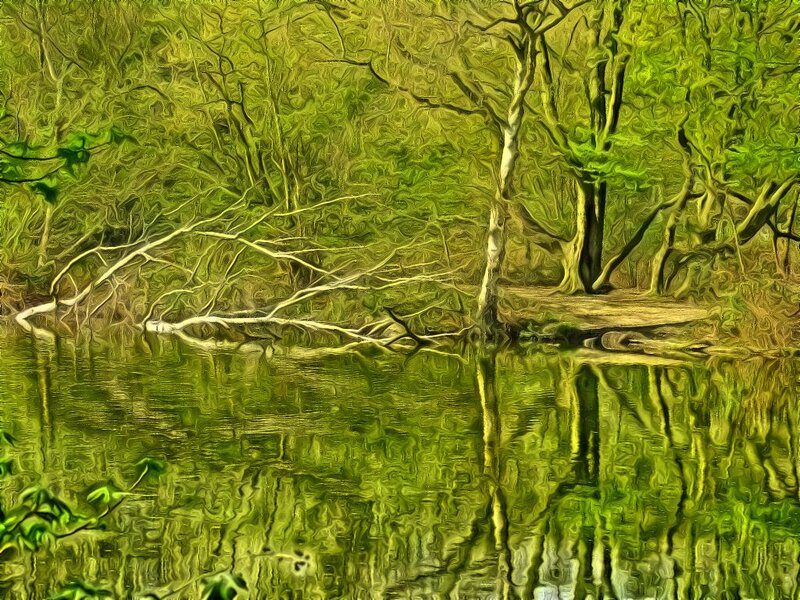 Trees Reflected in Water — Green, Serene, Spring