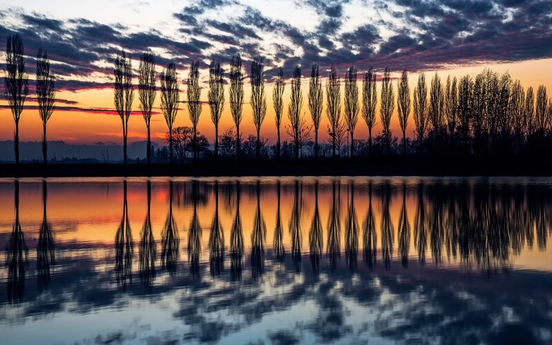 Trees Reflected in Water — Orange, Serene