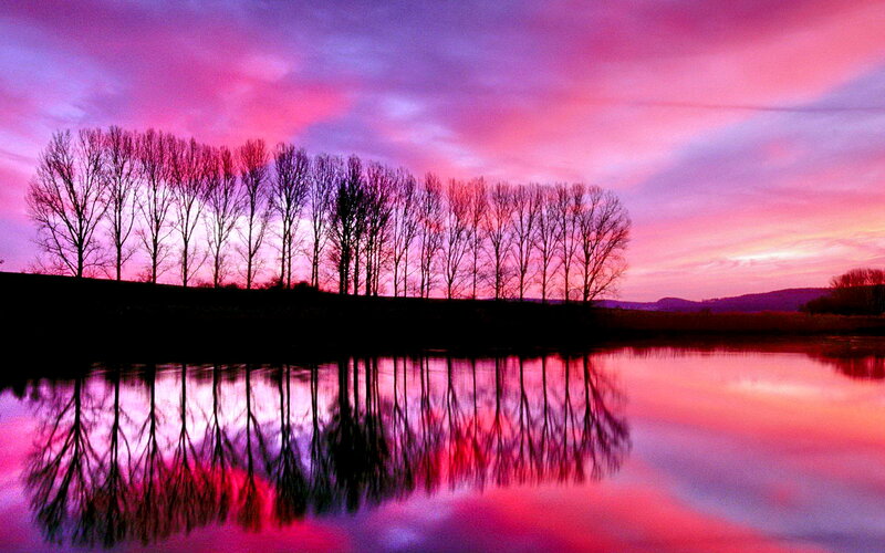 Trees Reflected in Water — Pink, Dramatic