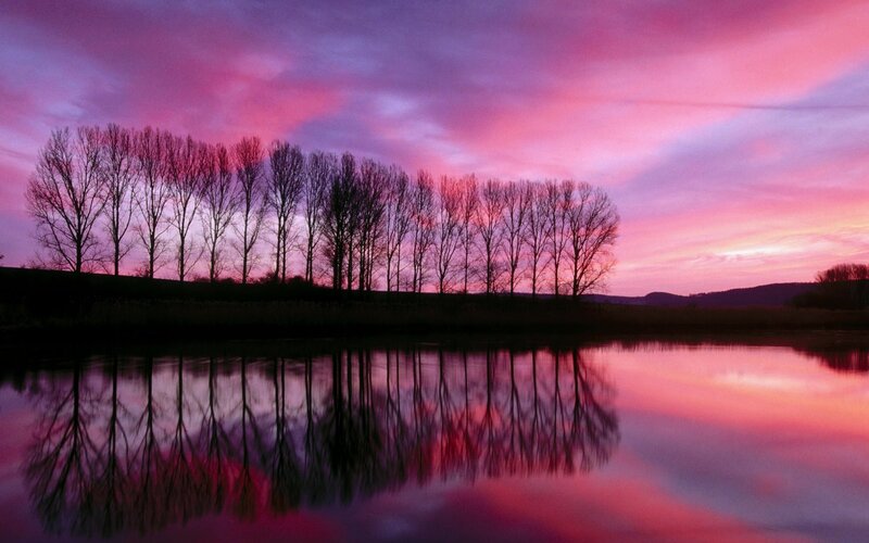 Trees Reflected in Water — Pink, Serene, Sunset