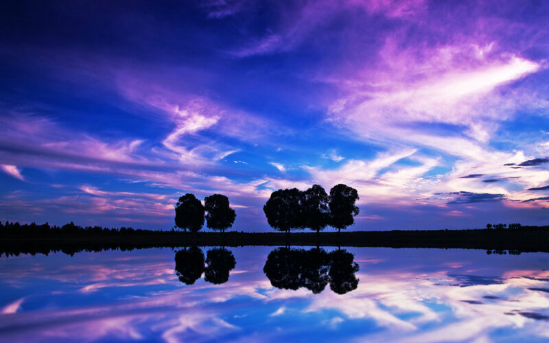 Trees Reflected in Water — Purple, Serene, Sunset