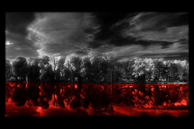 Trees Reflected in Water — Red