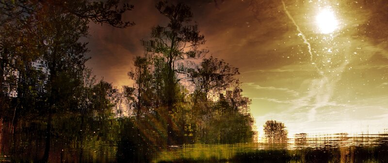 Trees Reflected in Water — Yellow