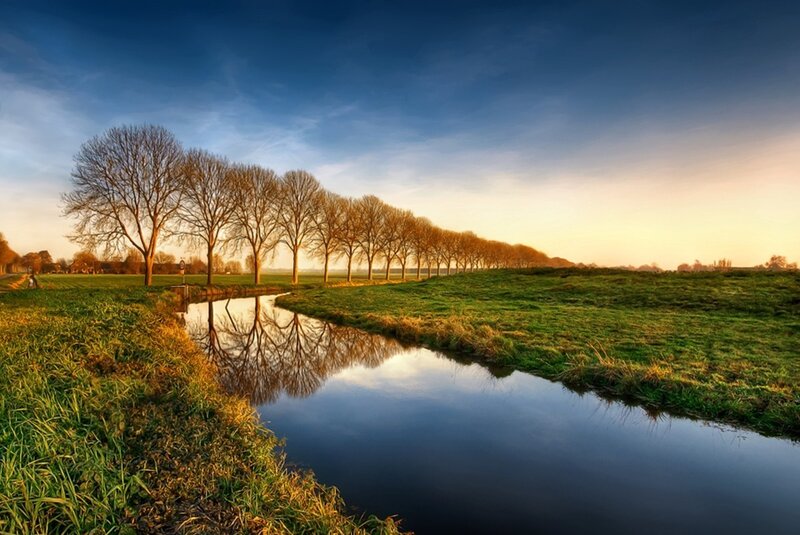 Trees Reflecting in Canal — Blue
