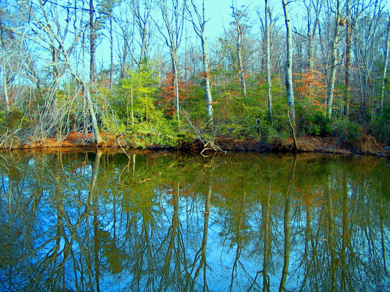 Trees Reflecting in Lake — Blue, Serene, Autumn
