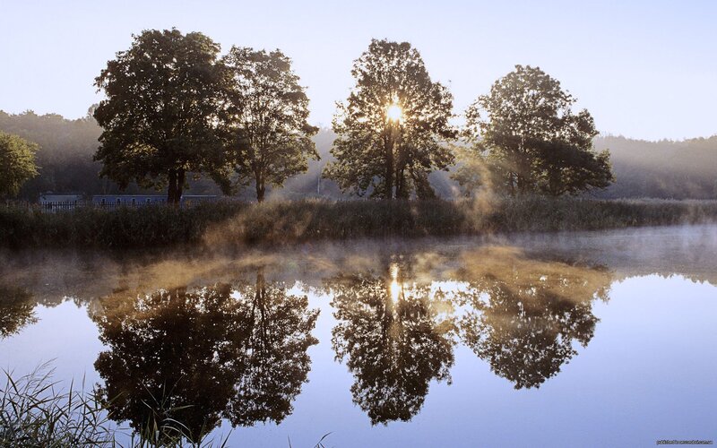 Trees Reflecting in Lake — Blue, Serene, Morning