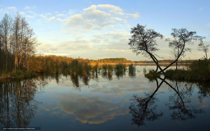 Trees Reflecting in Lake — Blue, Serene, Sunset, Photograph, Clouds