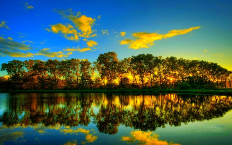 Trees Reflecting in Lake — Blue, Serene
