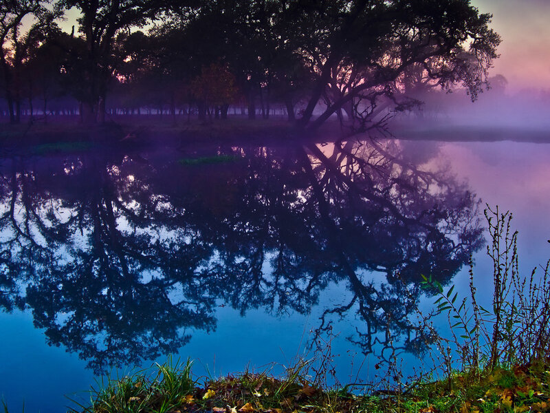 Trees Reflecting in Lake — Blue