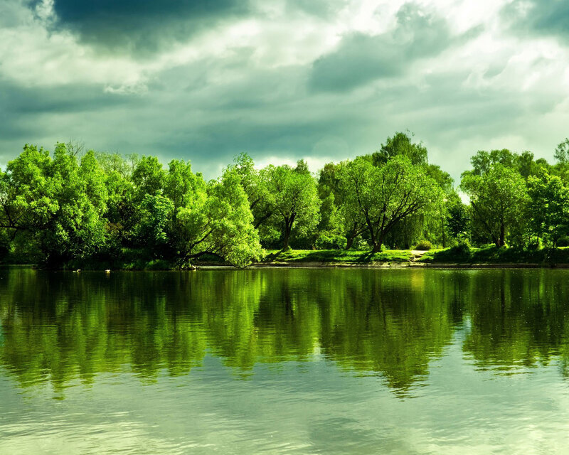 Trees Reflecting in Lake — Green, Dramatic
