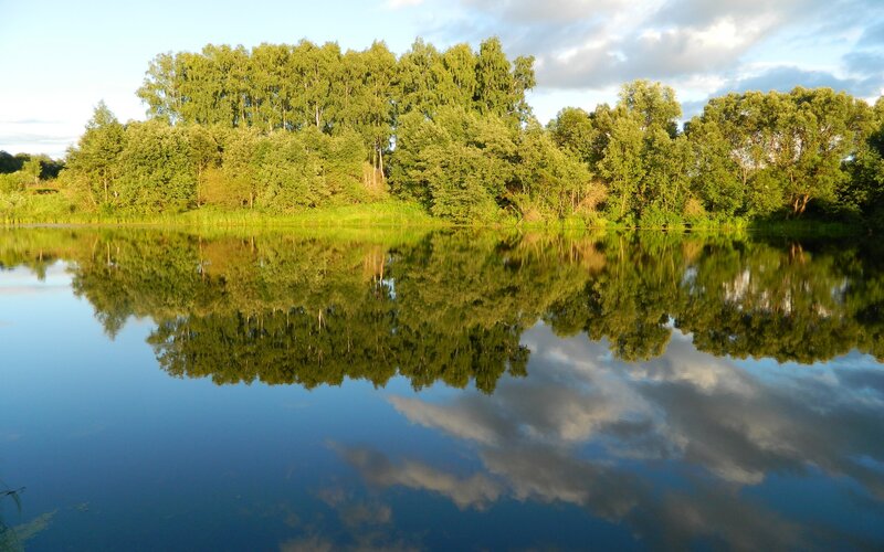 Trees Reflecting in Lake — Green, Serene, Afternoon, Photograph, Sky