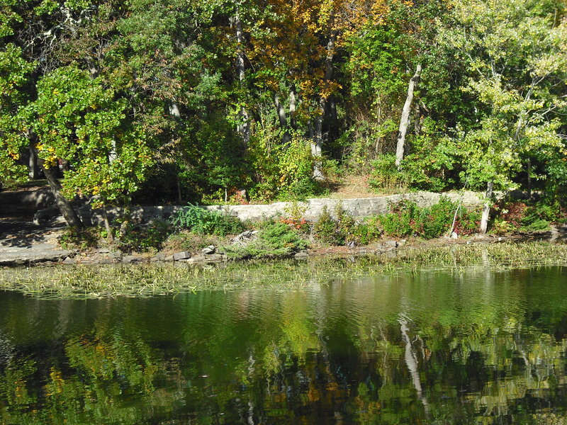 Trees Reflecting in Lake — Green, Serene, Autumn, Photograph