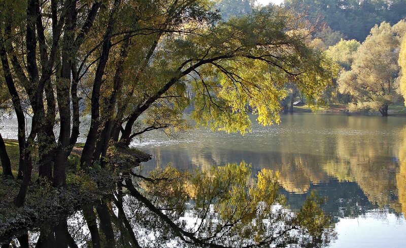 Trees Reflecting in Lake — Green, Serene, Autumn
