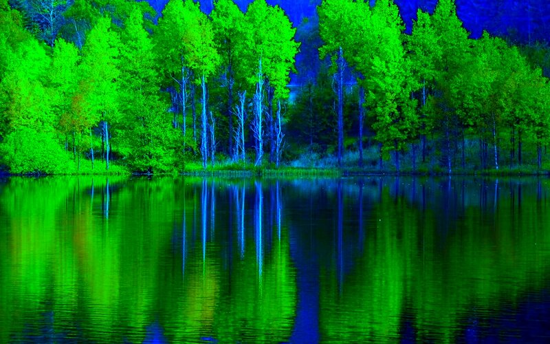 Trees Reflecting in Lake — Green, Serene, Night