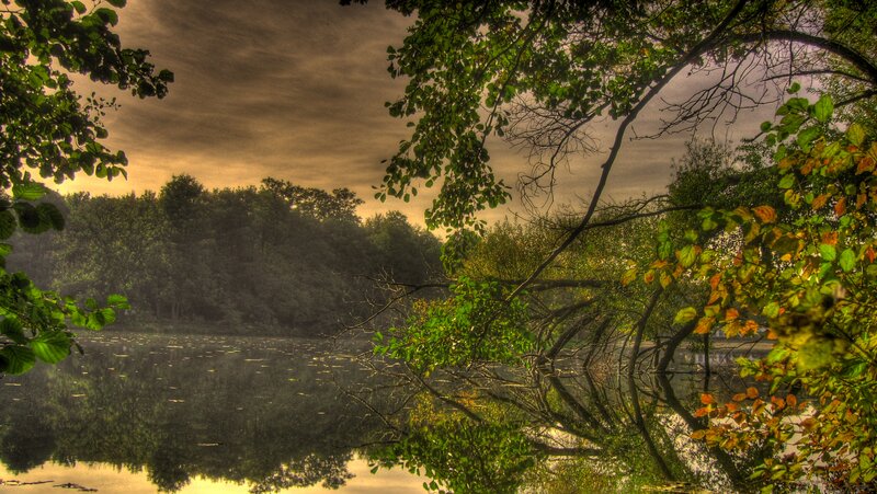 Trees Reflecting in Lake — Green, Serene, Sunset