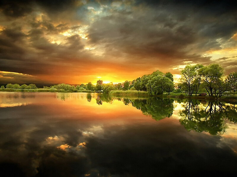 Trees Reflecting in Lake — Orange, Dramatic, Sunset, Photograph, Sky, Clouds, Water