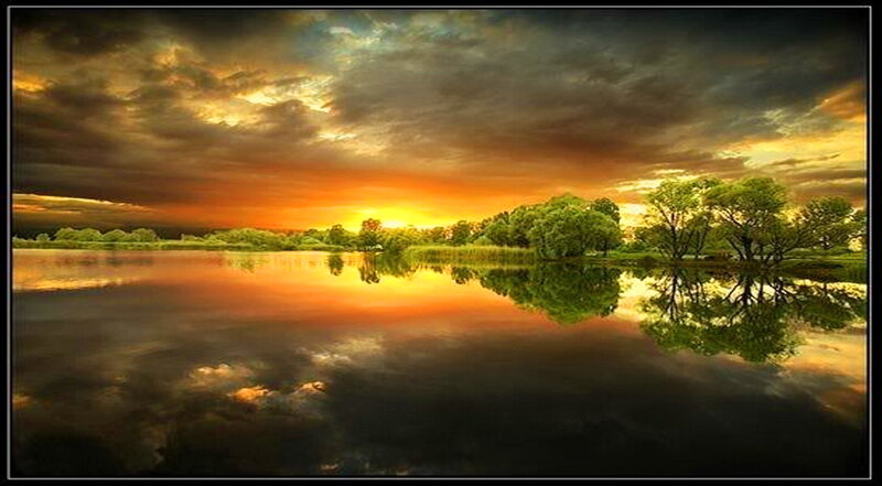 Trees Reflecting in Lake — Orange, Dramatic, Sunset, Photograph, Sky