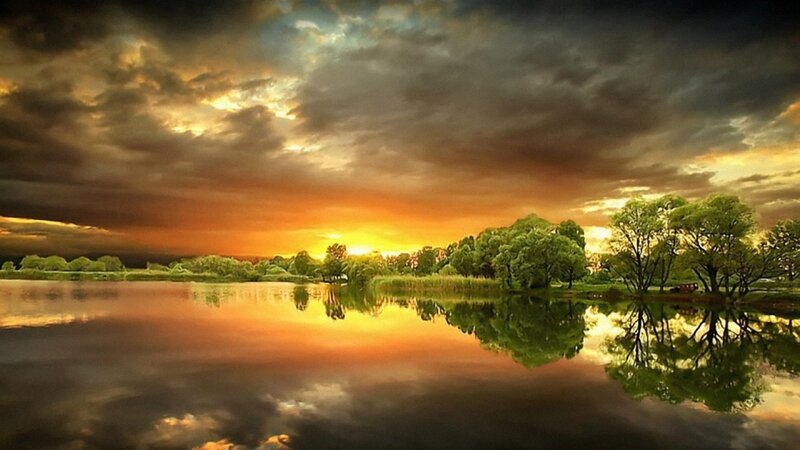 Trees Reflecting in Lake — Orange, Dramatic, Sunset, Photograph