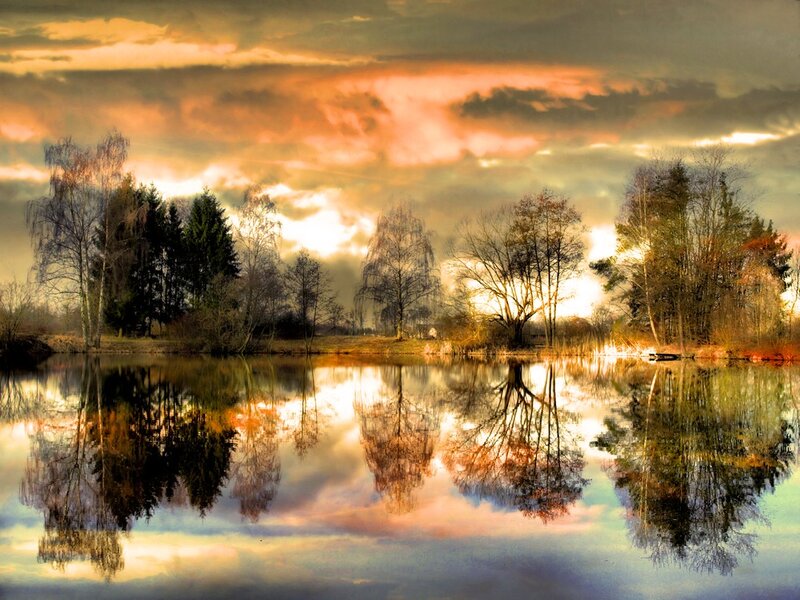 Trees Reflecting in Lake — Orange, Dramatic