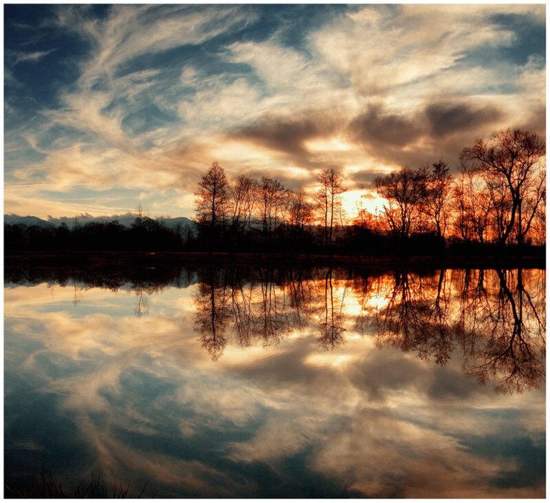 Trees Reflecting in Lake — Orange, Serene