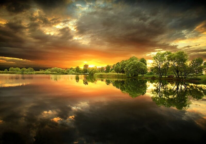 Trees Reflecting in Lake — Orange