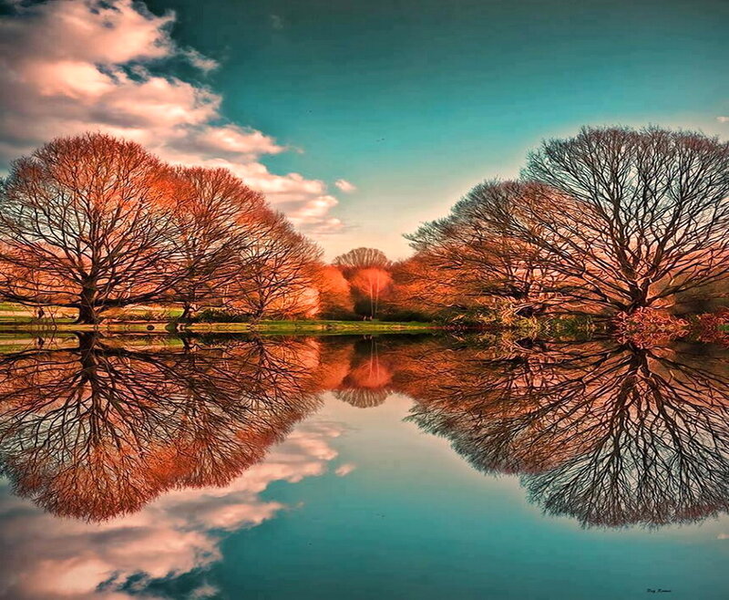 Trees Reflecting in Lake — Teal, Serene