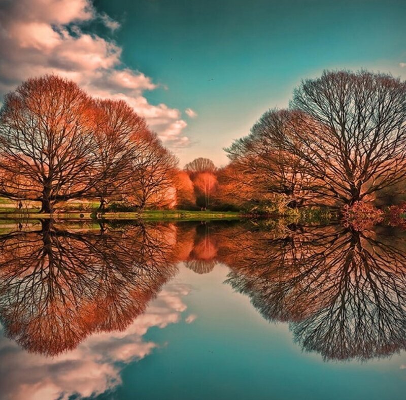 Trees Reflecting in Lake — Teal