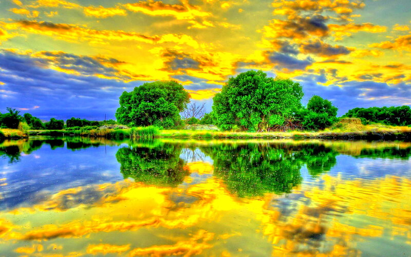 Trees Reflecting in Lake — Yellow, Dramatic