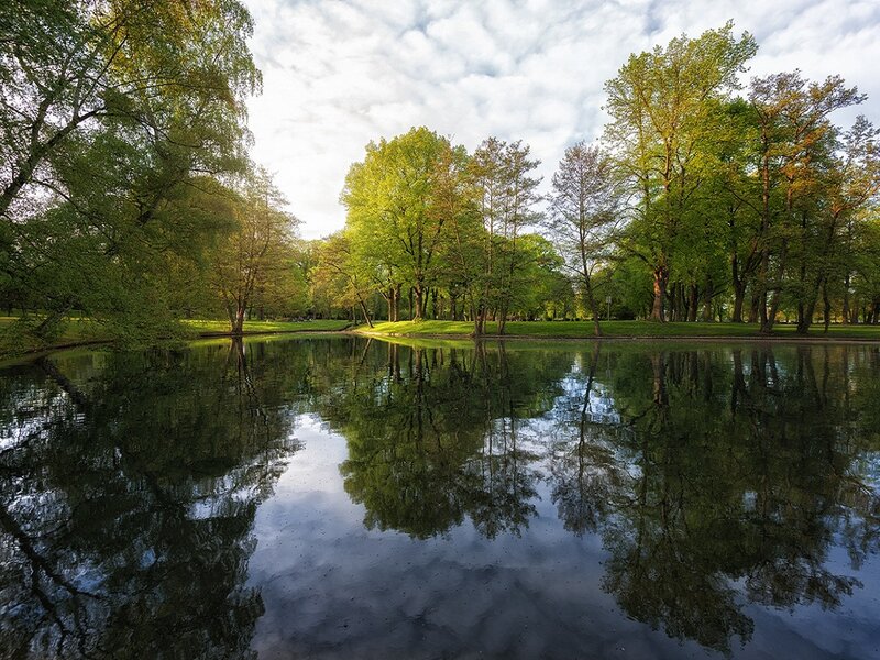 Trees Reflecting in Pond — Green, Serene
