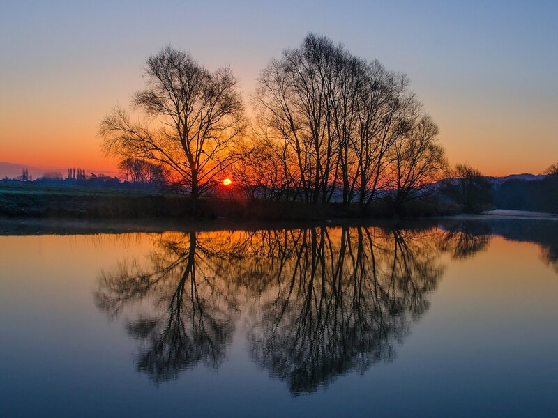 Trees Reflecting in River — Orange, Serene