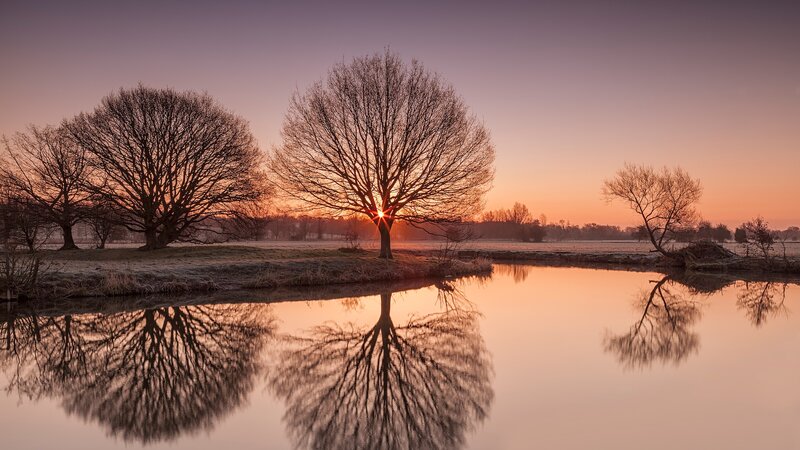 Trees Reflecting in River — Orange