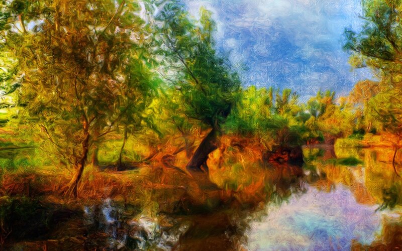 Trees Reflecting in Water — Green, Serene, Afternoon