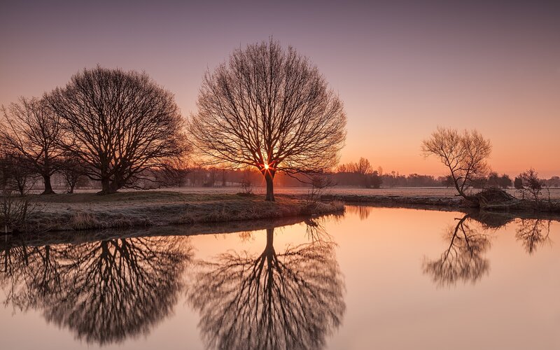Trees Reflecting in Water — Orange, Serene, Sunset, Photograph, River