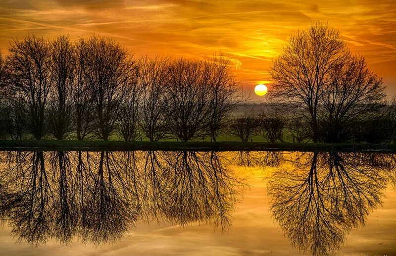 Trees Reflecting in Water — Orange, Serene, Sunset, Photograph