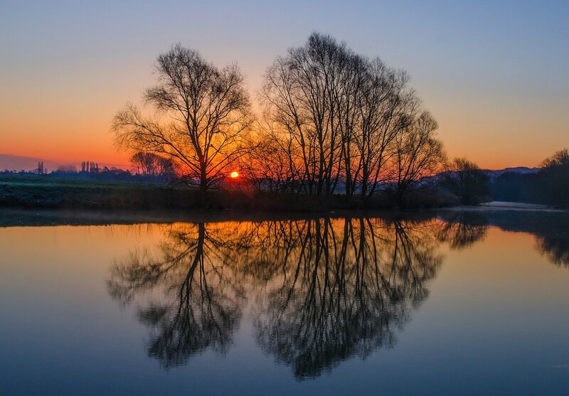 Trees Reflecting in Water — Orange, Serene, Sunset