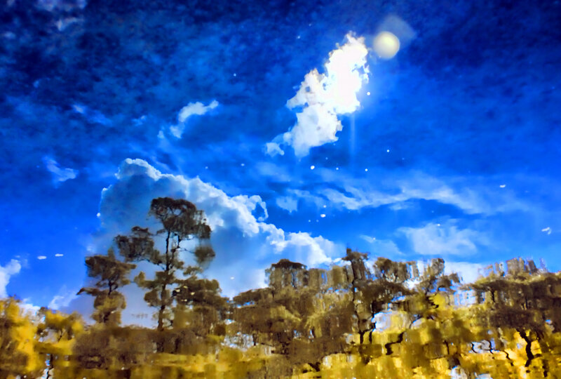 Trees under Cloudy Sky — Blue, Dramatic