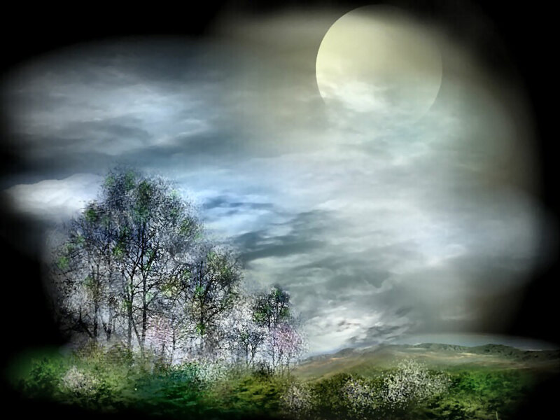 Trees under Full Moon