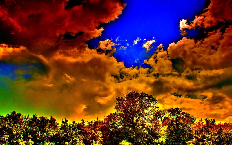 Trees under Stormy Sky — Blue