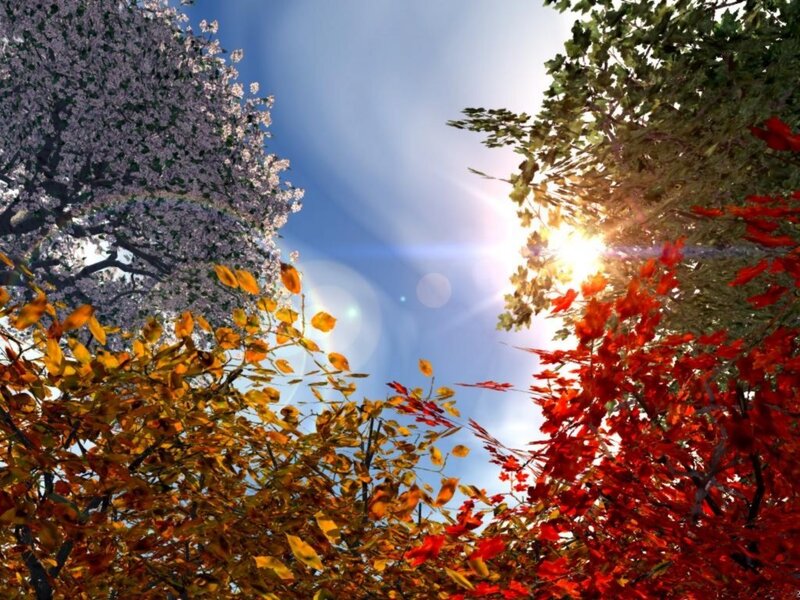 Trees with Autumn Leaves — Red, Serene, Digital Art